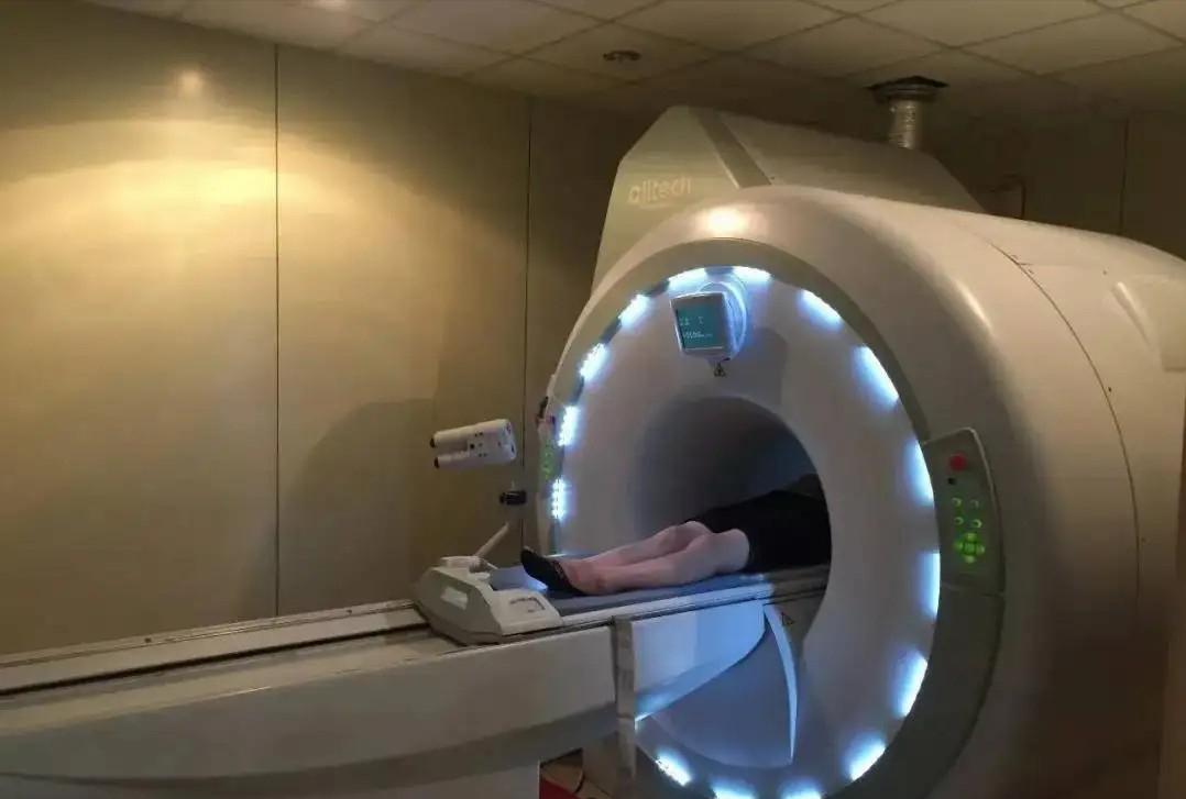 为了研究*行为性**，科学家都做过哪些奇葩实验？达芬奇也参与其中