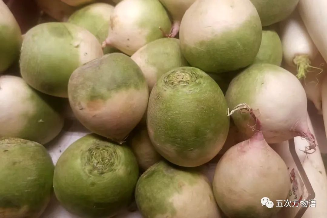 萝卜的这个小知识你知道了吗 (关于萝卜的百科知识有哪些)