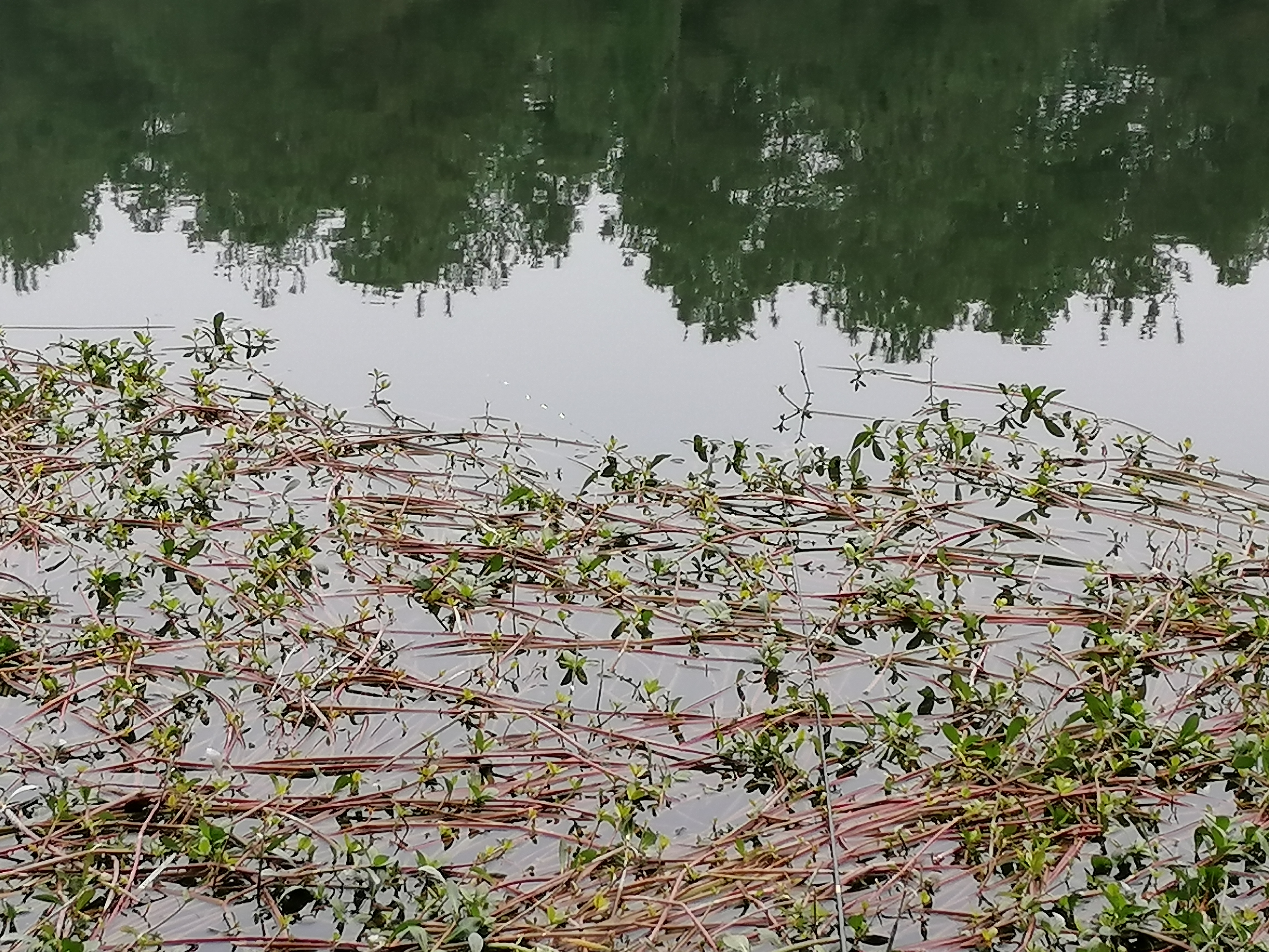 初春挑战攻略,初春挑战什么时候有