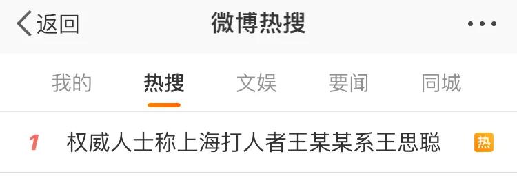 王思聪打人后续视频深度详细解析,王思聪打人事件解读