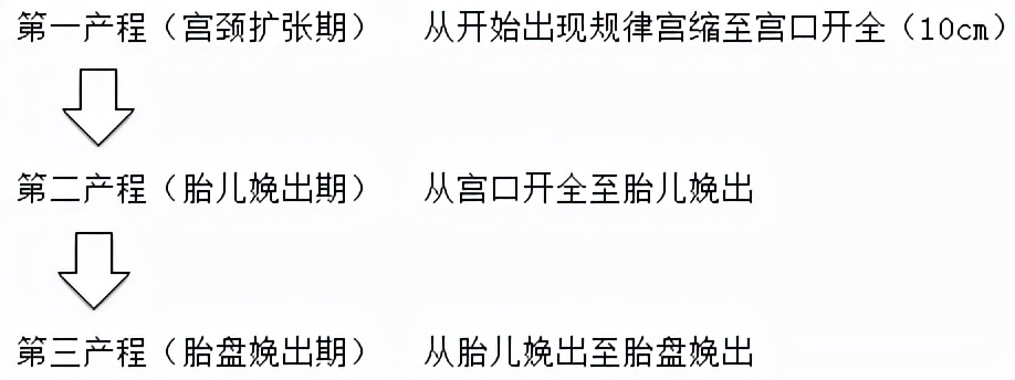 孕妈妈怎么判断胎位是正的,胎儿屁股在右侧是什么胎位
