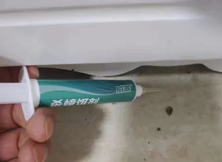 蟑螂怎么消灭最彻底蟑螂长什么样,有蟑螂怎么办灭蟑螂最有效的方法