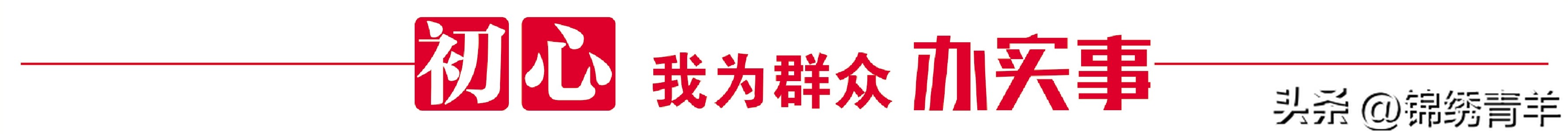 企业如何开办注销？营商观察员全流程体验