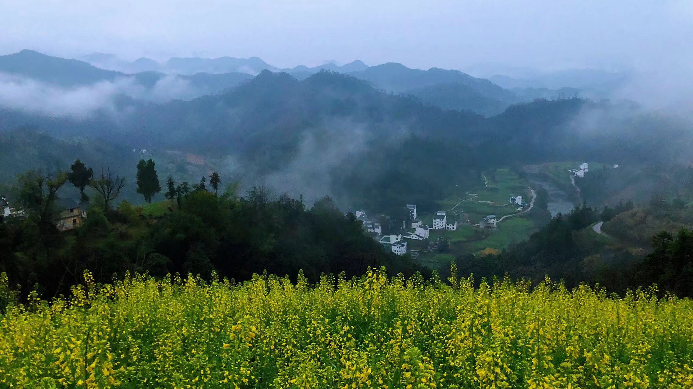 自驾免费看云海的好地方,江浙沪最美自驾公路西山