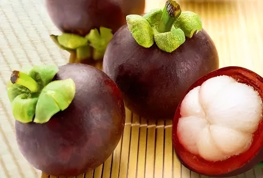 山竹详细资料,墨西哥山竹