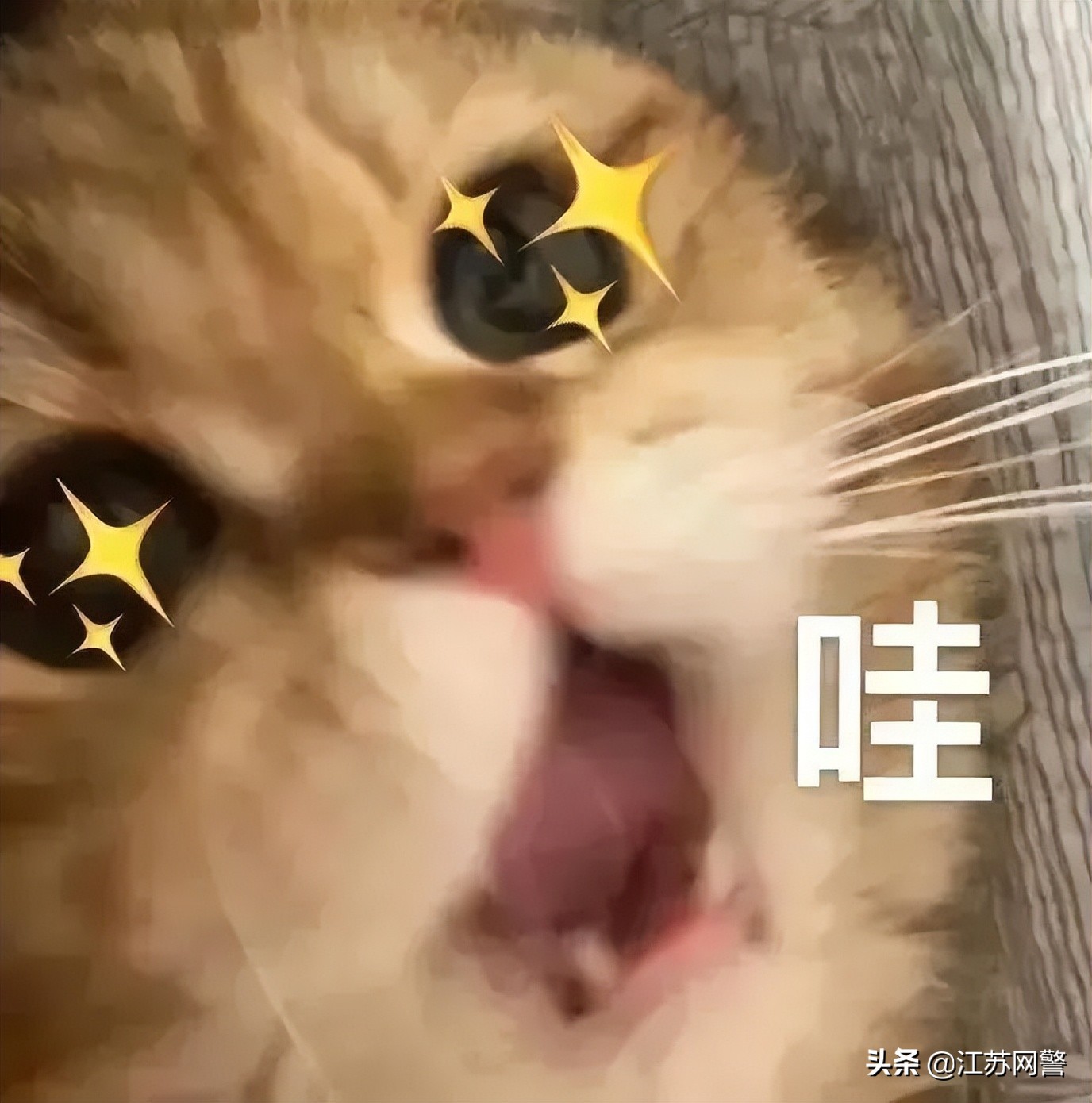 饭店订餐诈骗骗局,最新饭店订餐遭骗案例