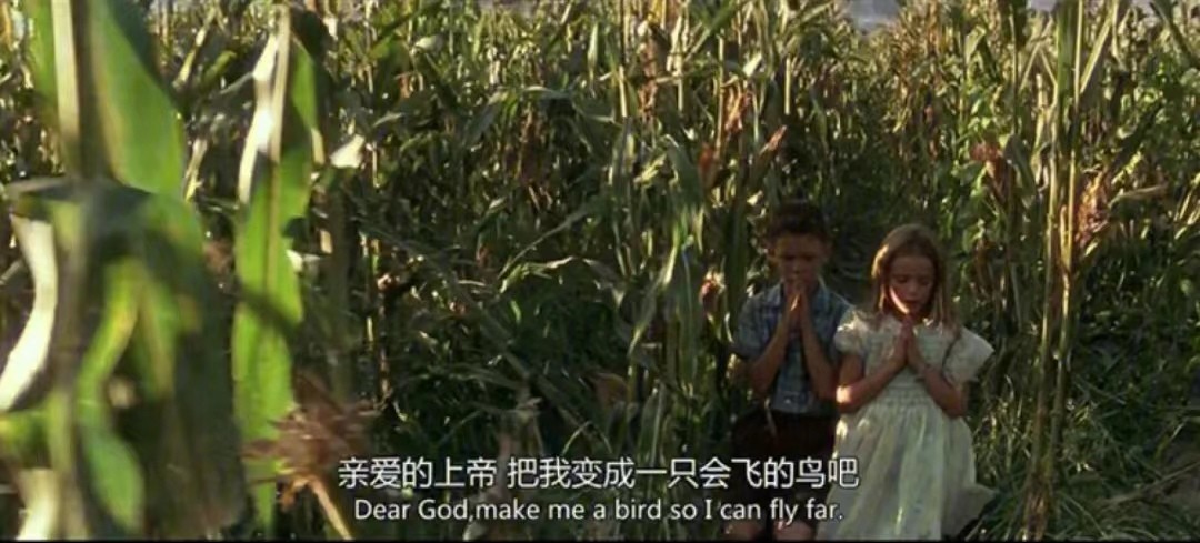 阿甘正传在电影史上的意义,电影阿甘正传中阿甘的信念是什么