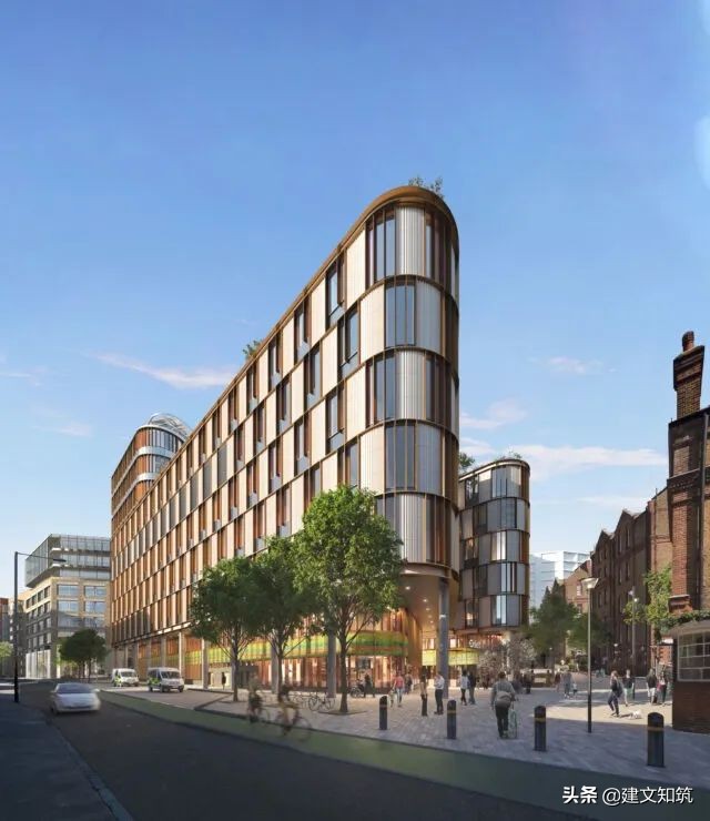 waf2023世锦赛,waf国内排名