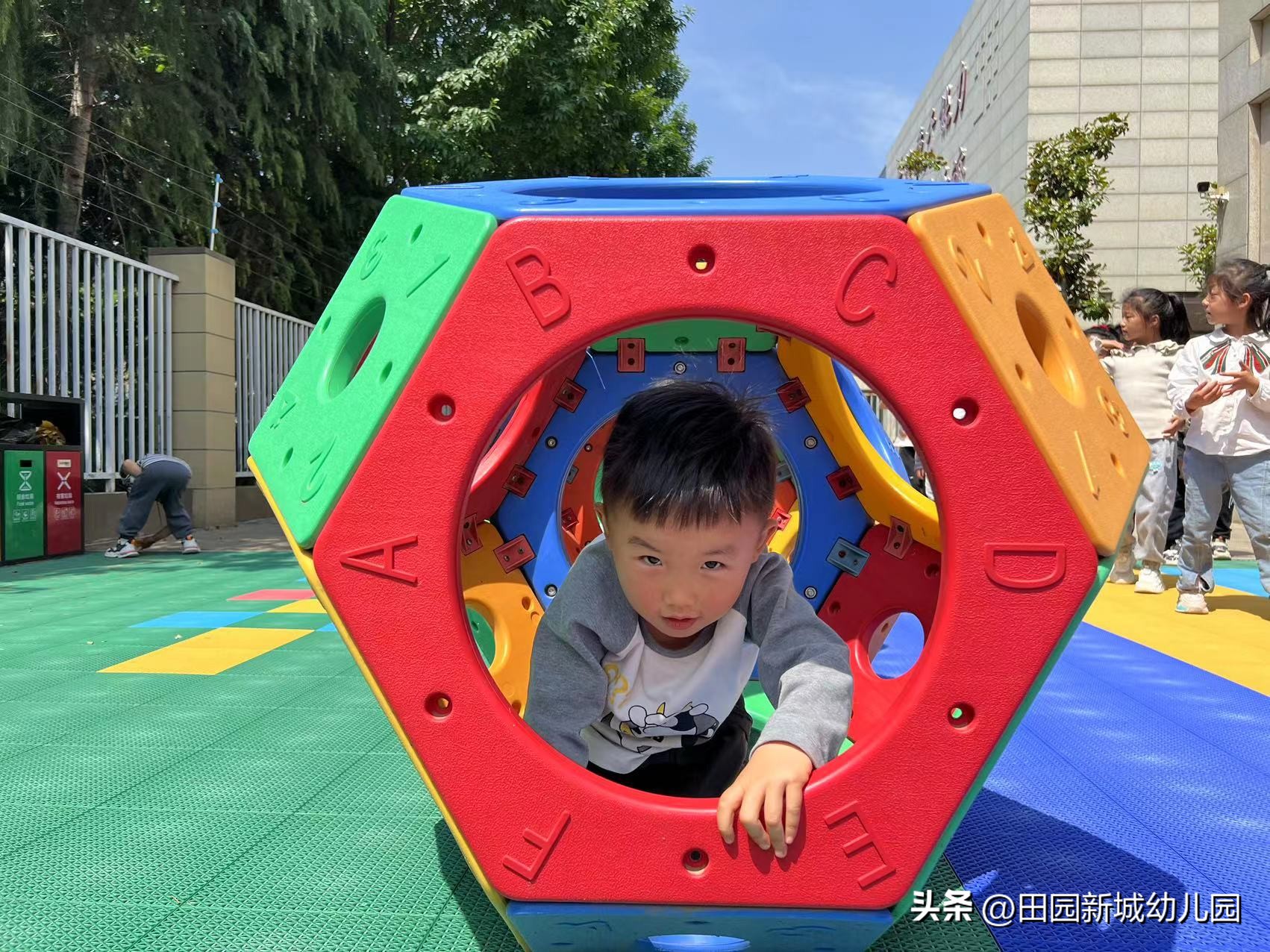 课程故事乌龟大班,嗨小鸭课程故事