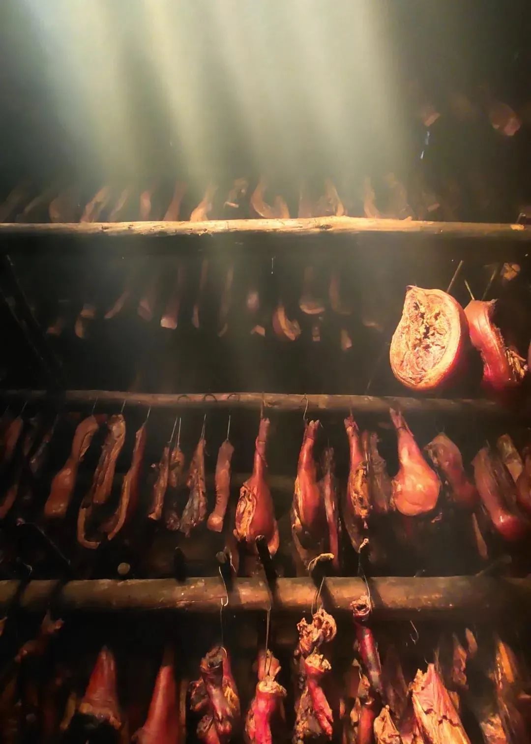 四川大山里有啥名贵药材,四川农村的十大特产