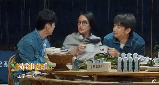 不务正业的演员都有谁,不务正业的三位明星