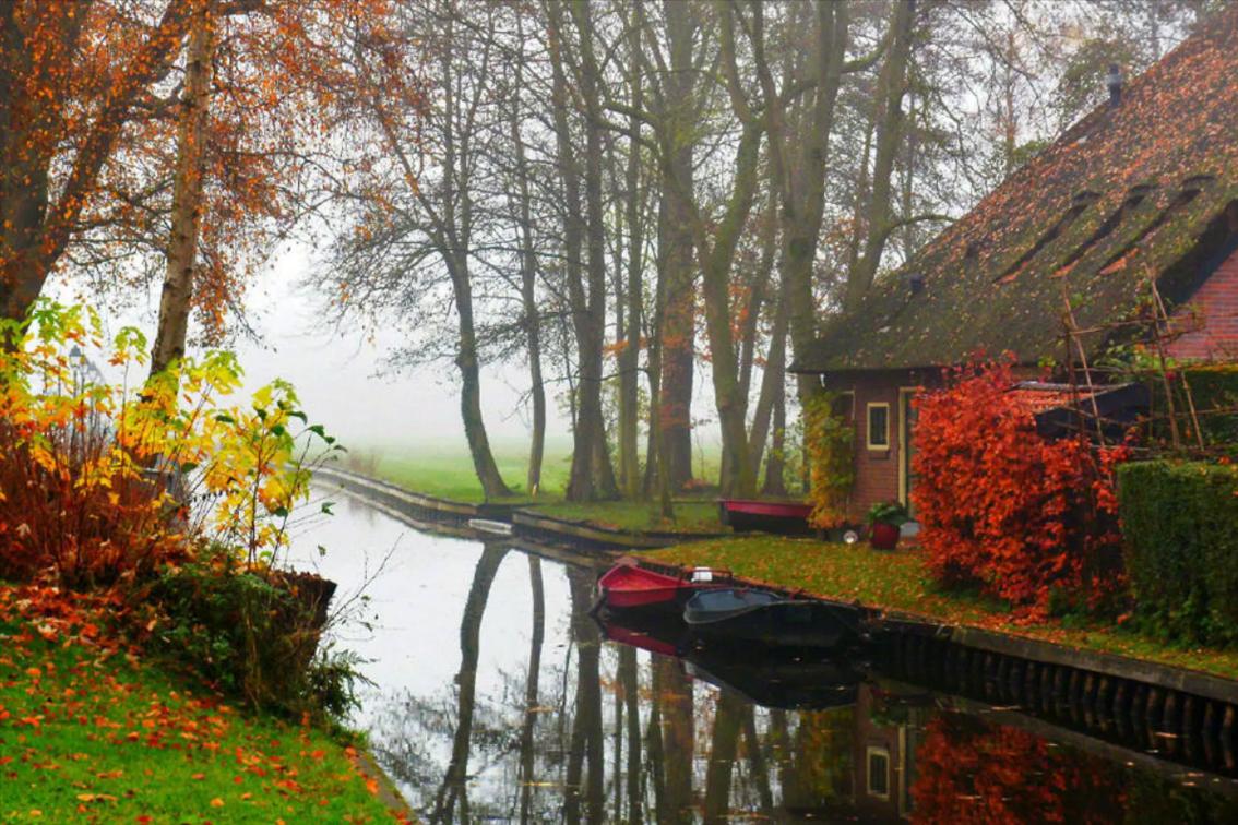 走进静谧的田园生活,田园生活的探索与感悟