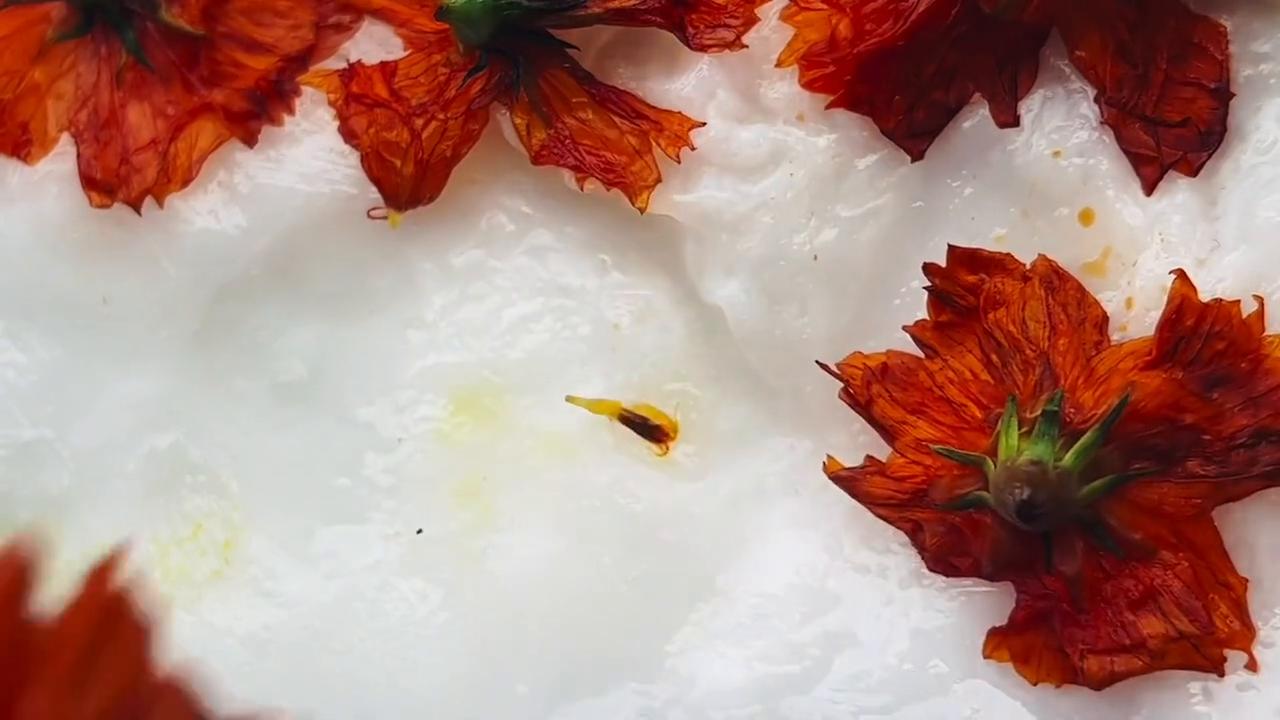 蚕丝皂古法,顶级芳香手工皂冷制皂的制作方法