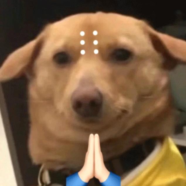 brain是什么词,brain是啥意思呀