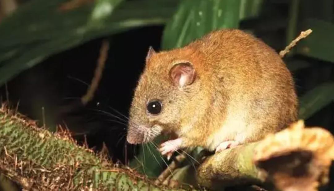 极端高温,灾难的开始…该如何拯救