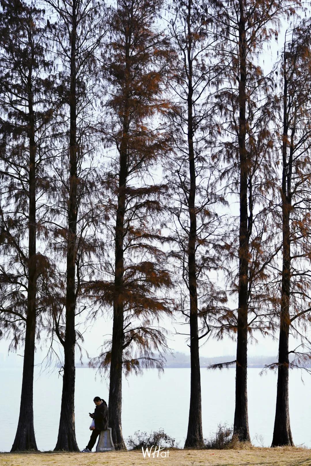 武汉人的冬天专属指南,武汉人的冬天为什么那么冷