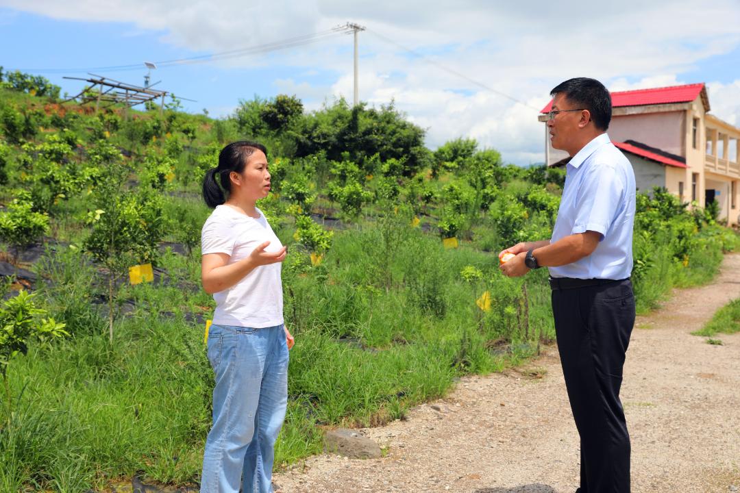 阳新富春山居,阳新县检察院图片