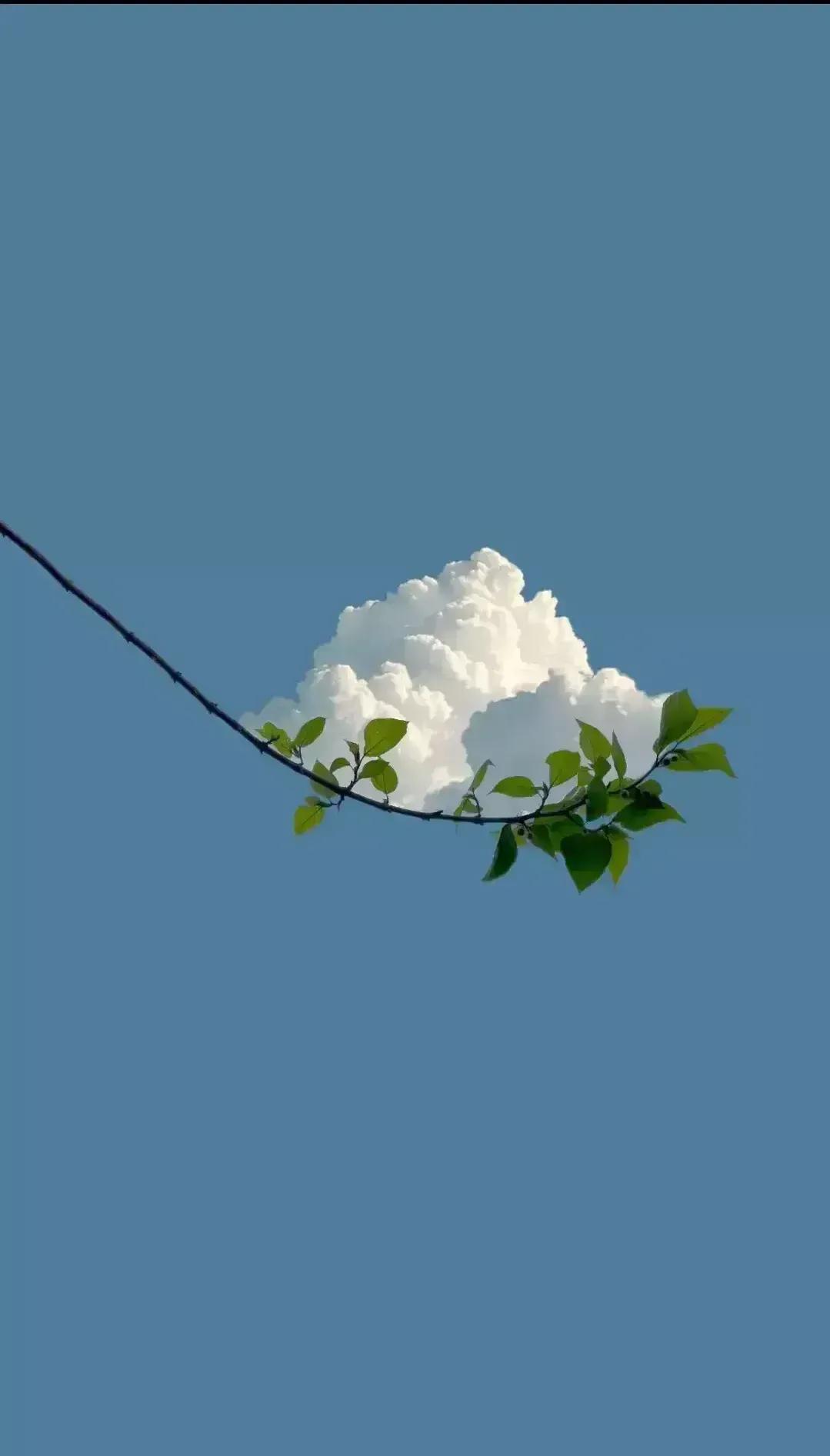 写诗写上了央视的水果诗人，其诗歌水平到底怎么样？