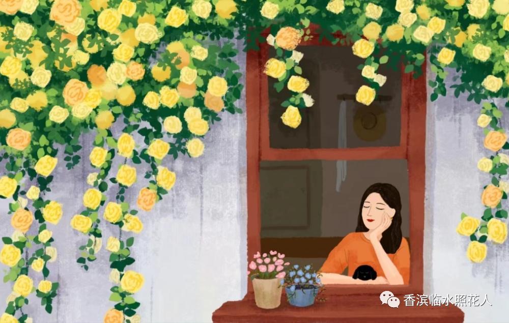 奋斗成就梦想作文好句,奋斗成就梦想读后感50字