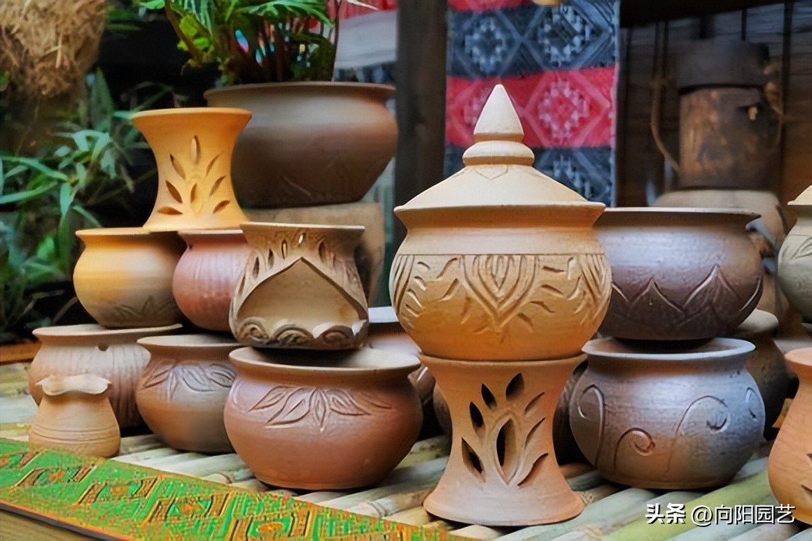 粗陶盆和塑料盆养多肉哪个好,种多肉塑料盆好还是麦饭石盆好