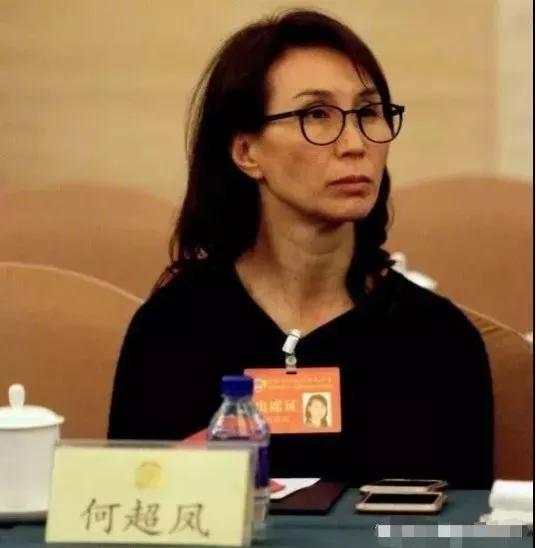 何鸿燊大房有几个孩子,何鸿燊第十八个孩子