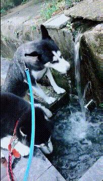 涔濅釜鍔ㄤ綔濮垮娍鎽嗘媿,涔濅釜鎵嬪娍鍔ㄤ綔