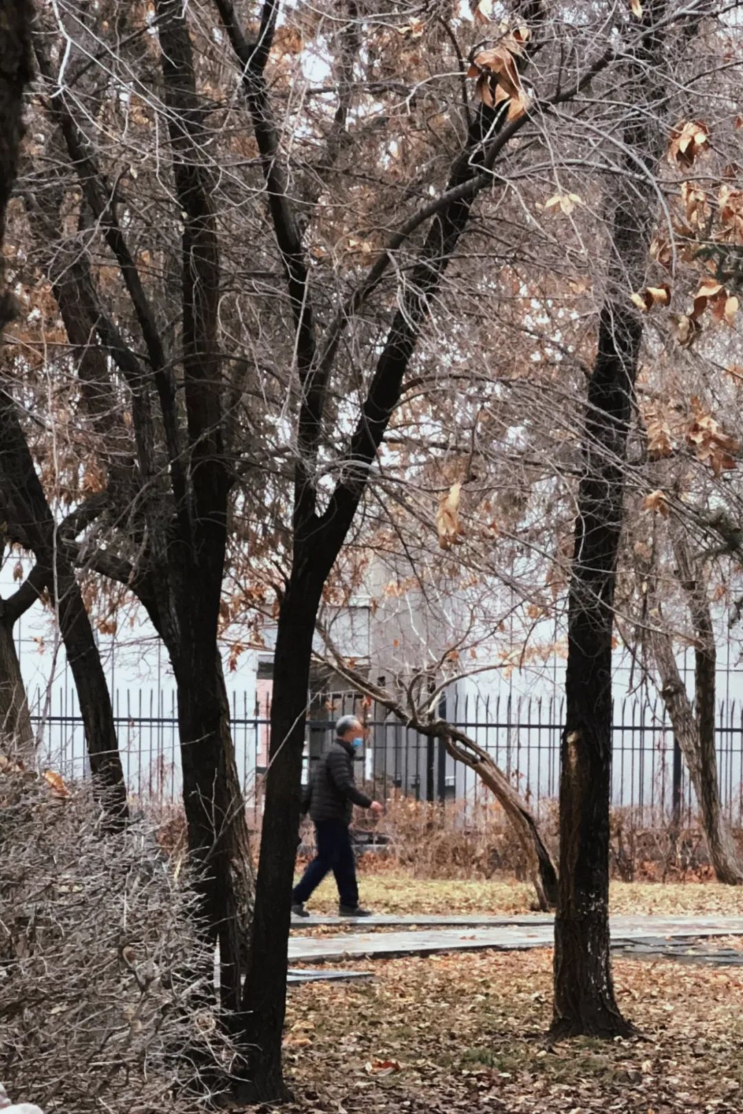 乌鲁木齐城市交通如何疏堵,压马路乌鲁木齐