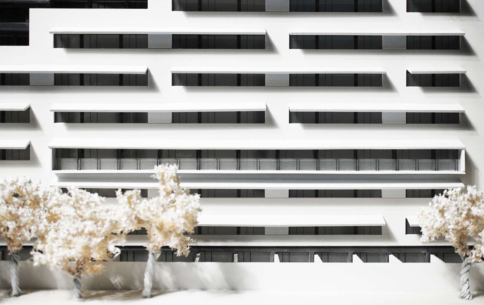 琛㈠窞鎮﹁嫅閰掑簵鏅,琛㈠窞鎮﹁嫅閰掑簵椋庢櫙