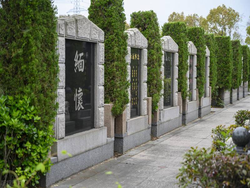 墓地风水图解知识大全,艾尔登法环灵依墓地位置