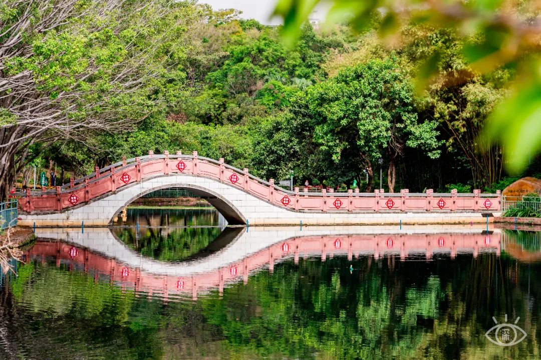 国内好看小众的湖泊,深圳好玩的湖泊有哪些