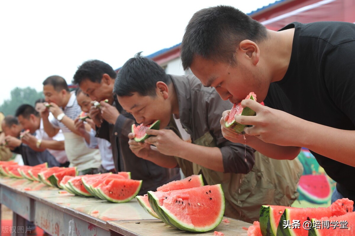 孙培博西瓜视频讲座,孙培博大棚西红柿种植技术