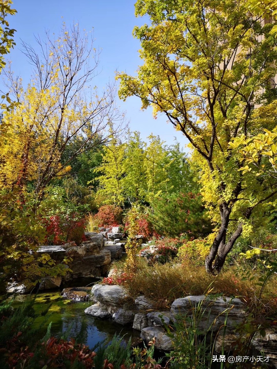 北京望京高档房排名,望京最好的富人区