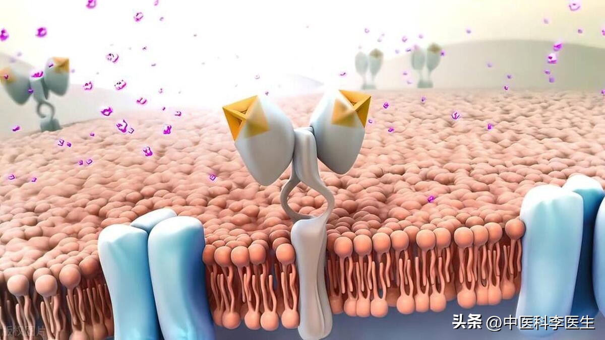 首个口服降糖药,常用降糖药的起效和维持时间