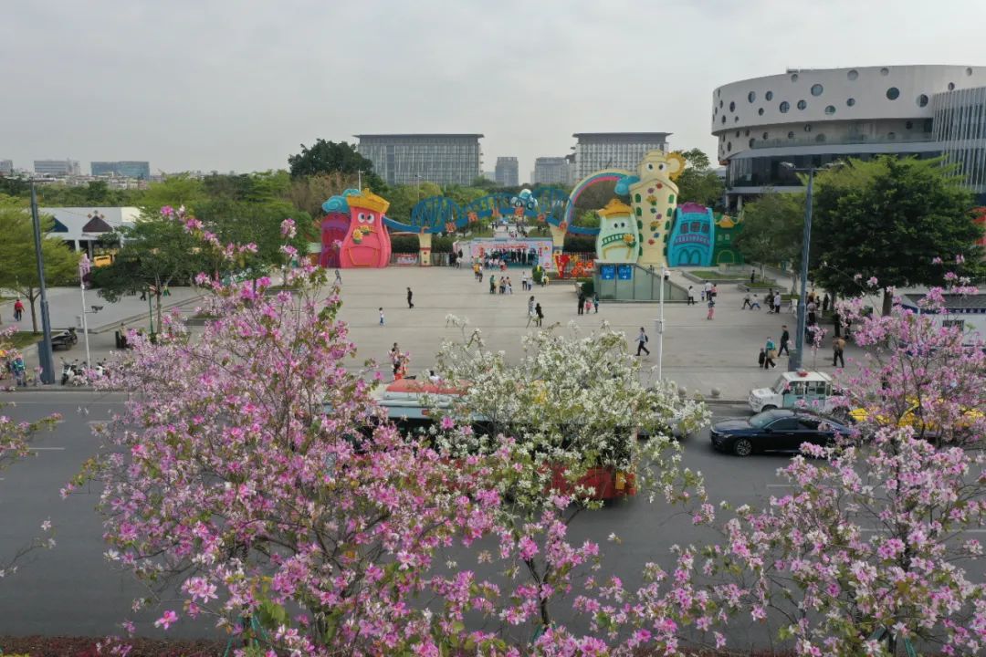 广州儿童公园游玩中心,广州市儿童公园有什么东西玩