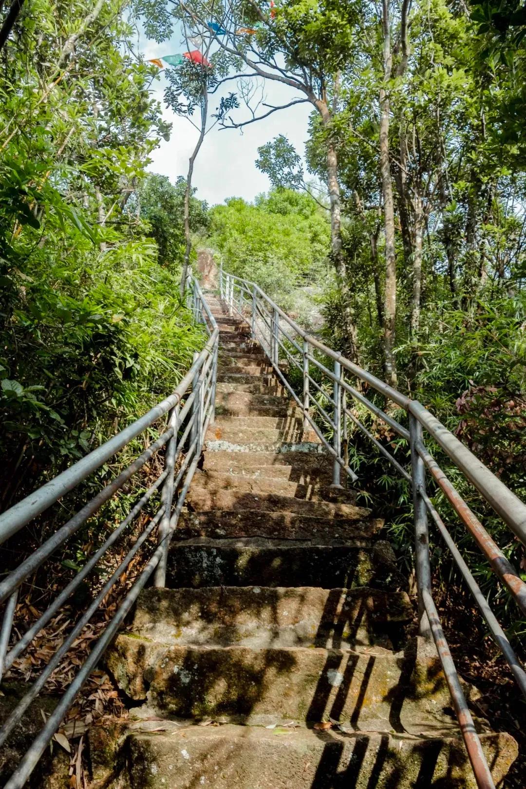 深圳最值得爬的景点,深圳十大最值得爬的山