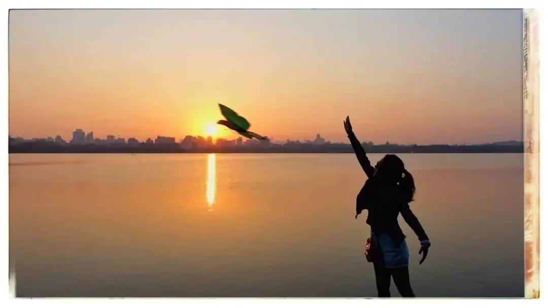 孩子和父母走散了孩子该怎么办,孩子意外走了