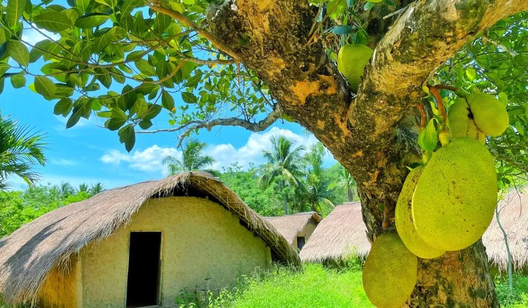 海南环岛自驾游6天住哪里,海南岛自驾性价比最高旅游攻略