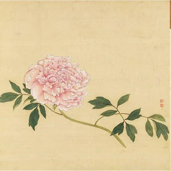 蒋廷锡牡丹画法,蒋廷锡百种牡丹画法