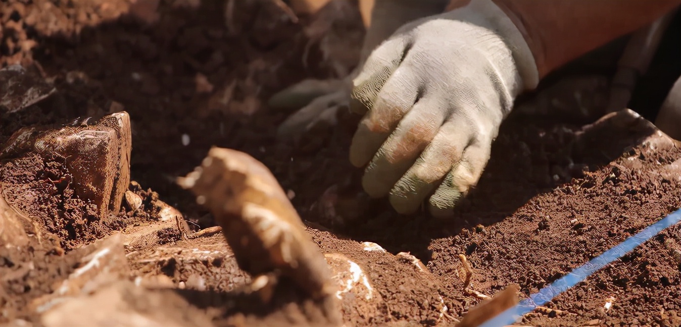 如果你得到一把神器你会做什么,如果你得到盖奇斯戒指你会做什么