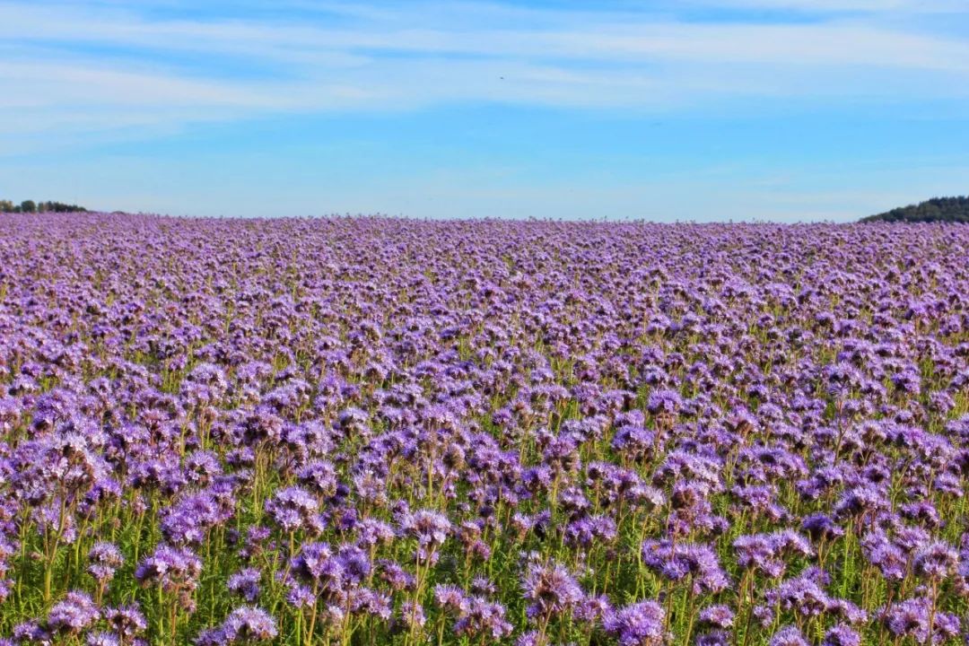 开车去欧洲的路上视频,开车去欧洲的完整视频