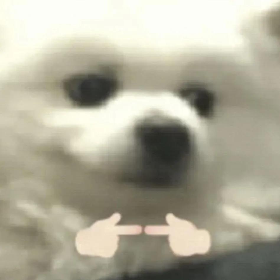 情侣头像阳光清爽微笑,情侣头像ins高级质感