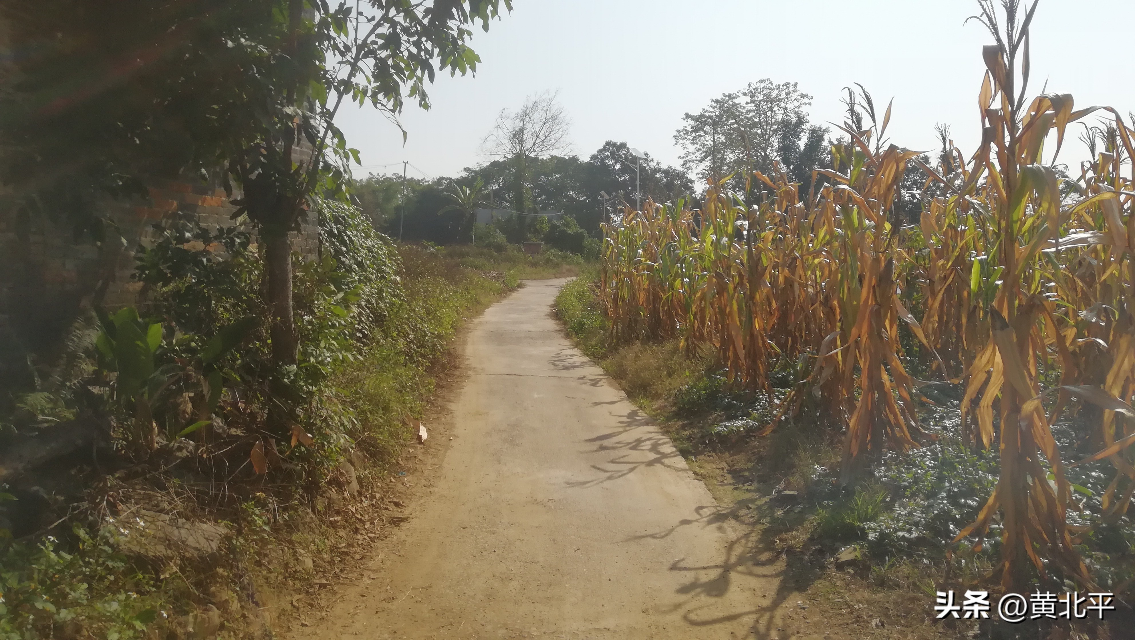 南宁隆安县那桐镇旅游景点,广西隆安那桐镇旅游村