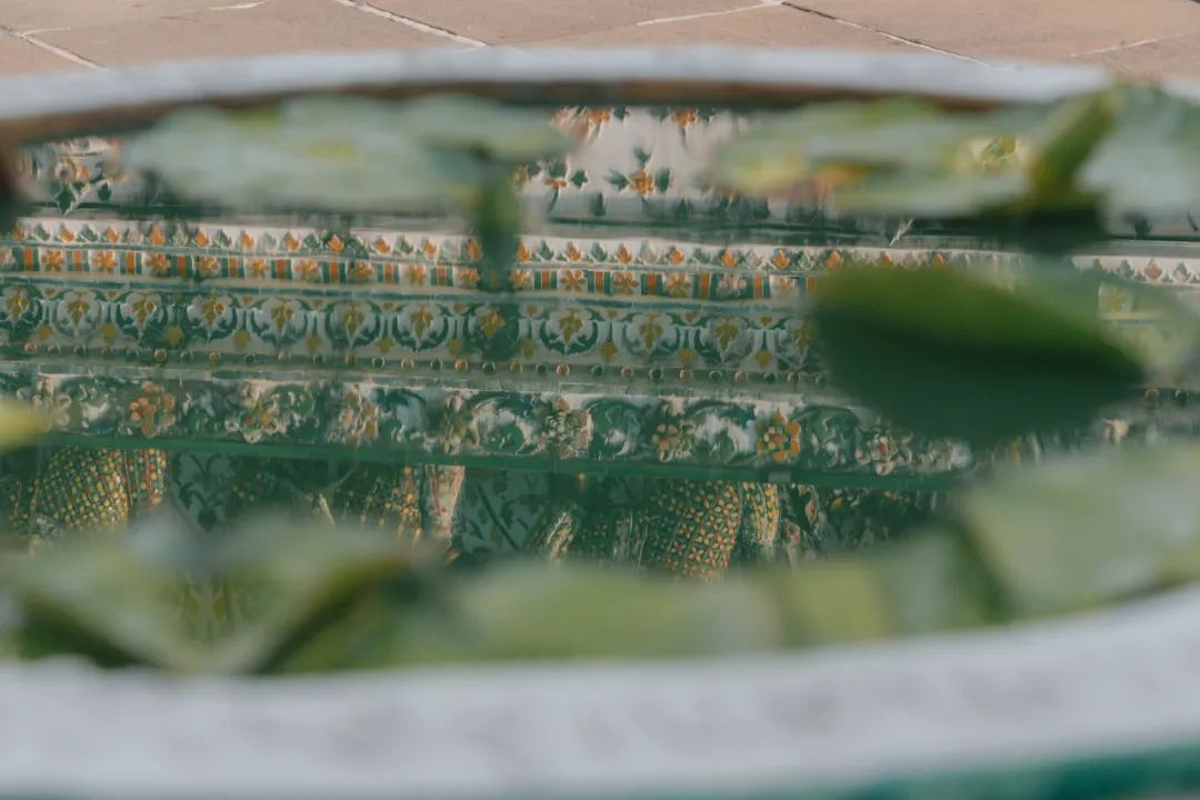 鍘绘嘲鍥芥浖璋峰拰鑺彁闆呯殑鏀荤暐,鍘绘嘲鍥界帺杞浖璋疯姯鎻愰泤