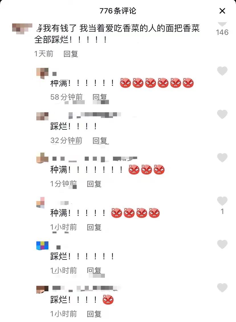 麦当劳上新香菜冰激凌,麦当劳新出的香菜冰淇淋