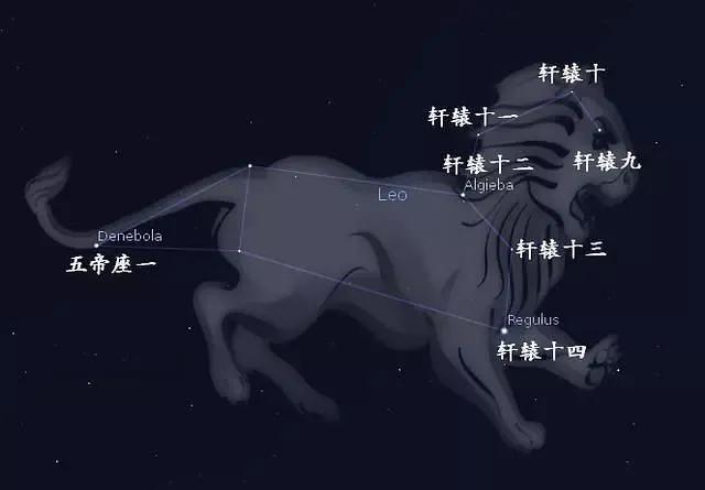 十二星座之狮子座的今日运势,十二星座之狮子座女生头像