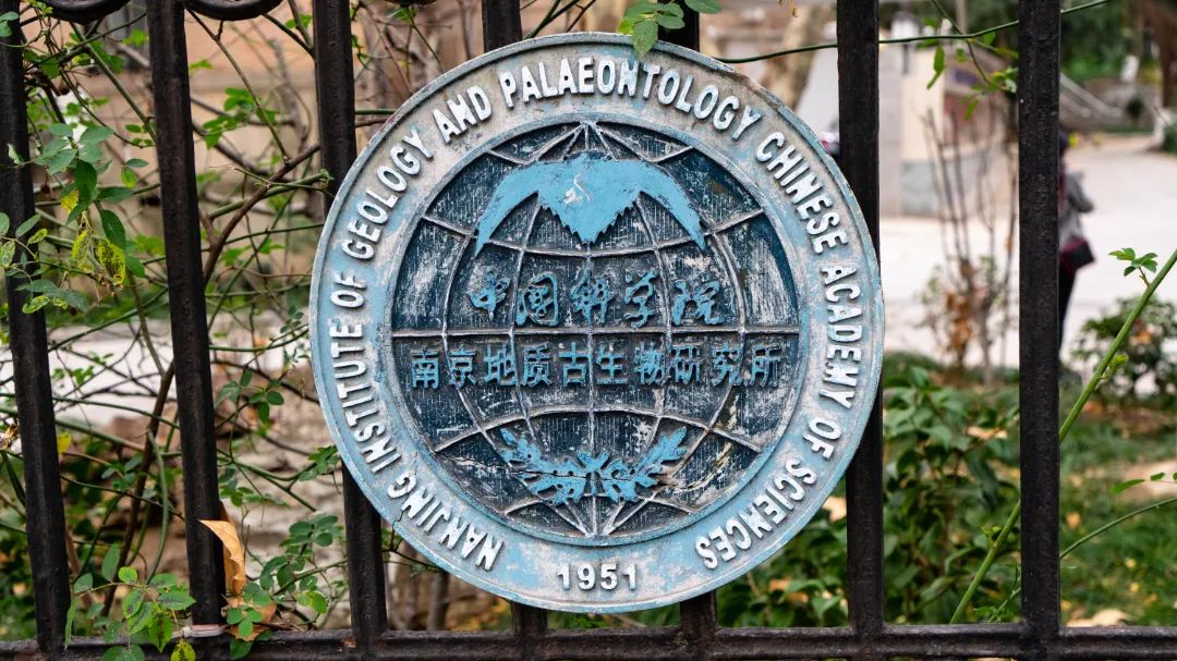 相约博物馆的感受,古生物博物馆南京