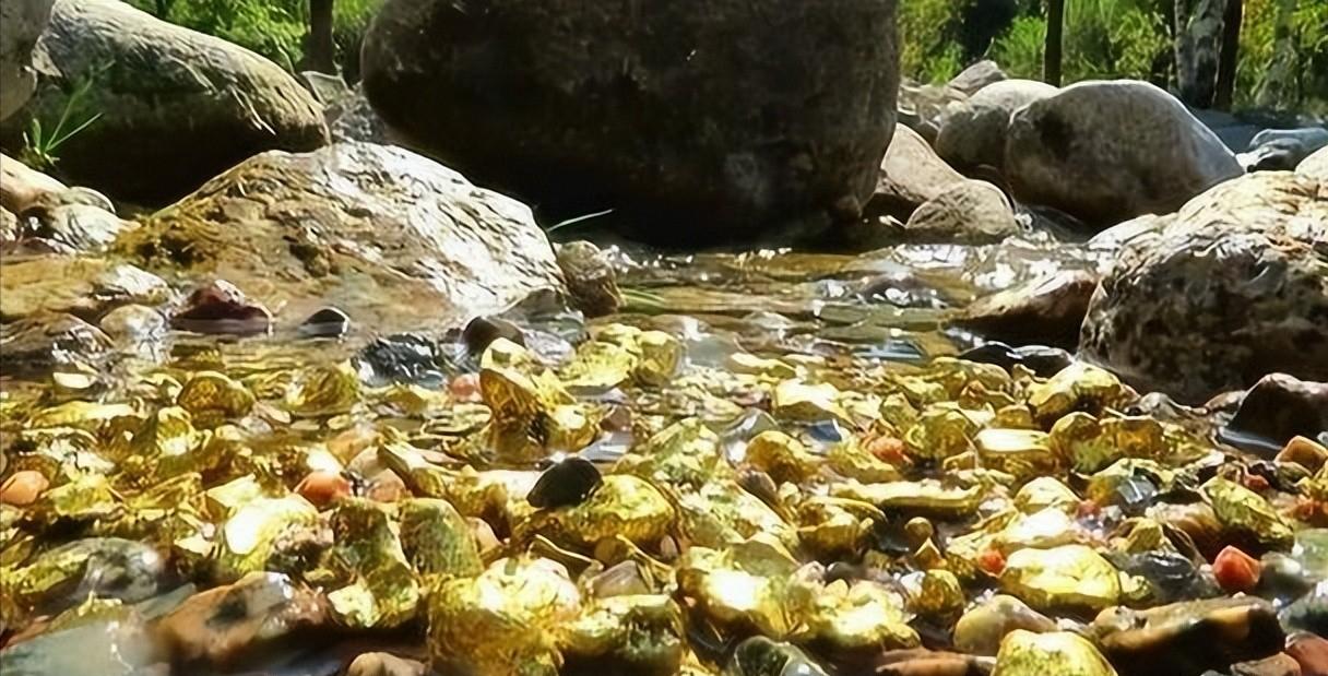 福建海边出现神秘金片，遭渔民哄抢一空，专家调查后：金片不简单