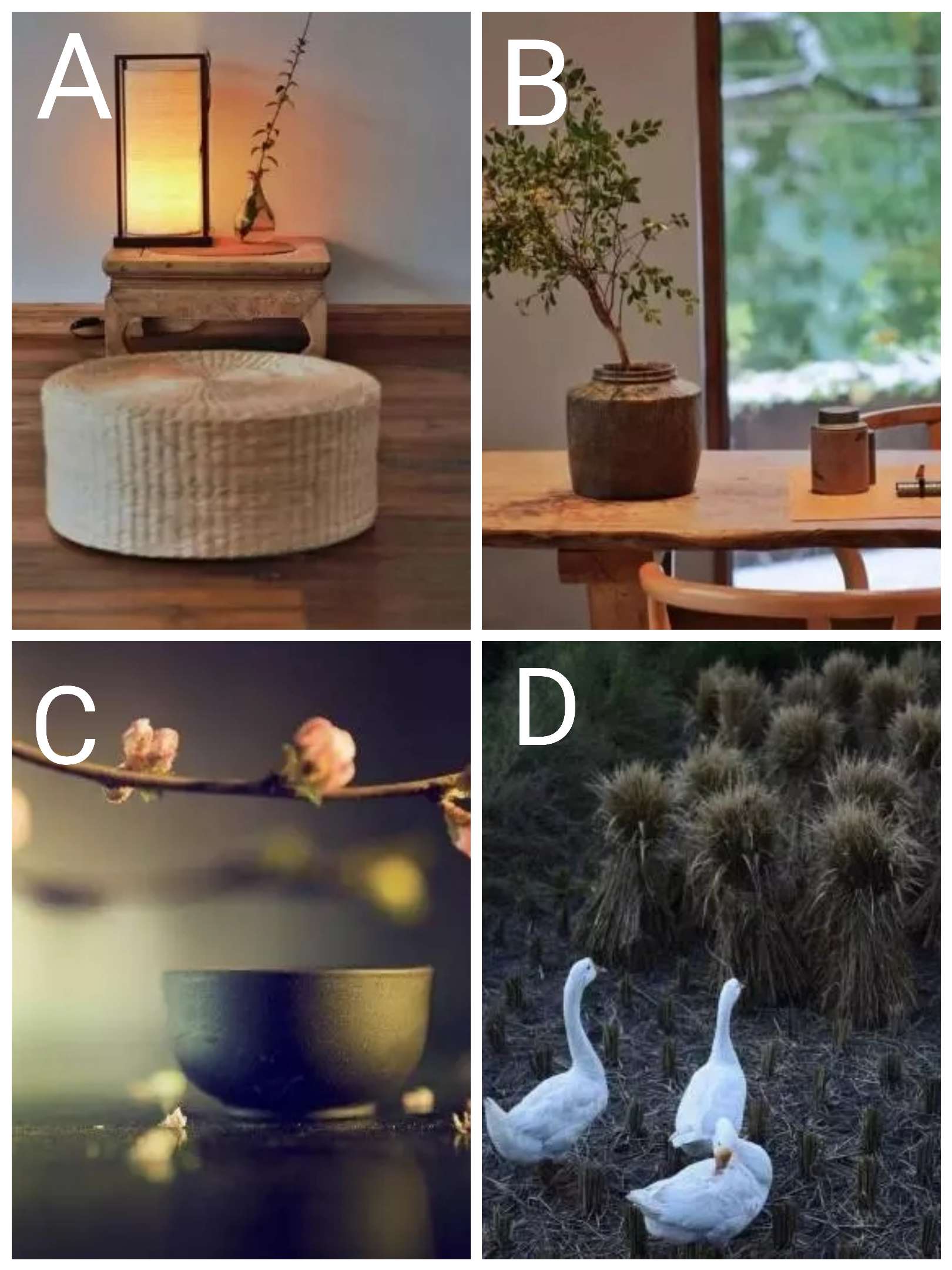 嫁给矮个子男人是什么体验,嫁给矮个子男人是什么好处