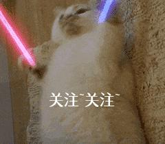 10大经典狗粮宠物狗粮品牌排行榜,狗粮怎么选8大优质狗粮推荐