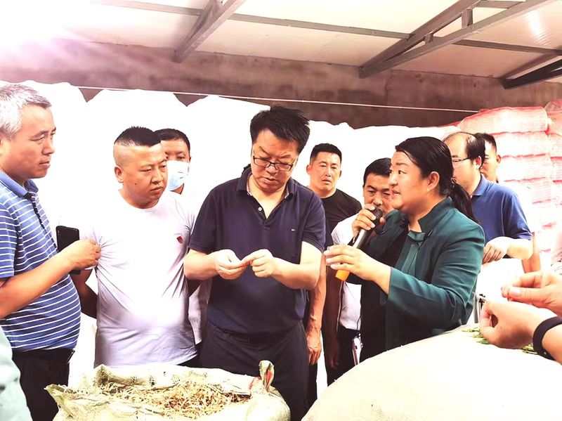 打造新型产业集群服务乡村振兴,做强主导产业助推乡村振兴